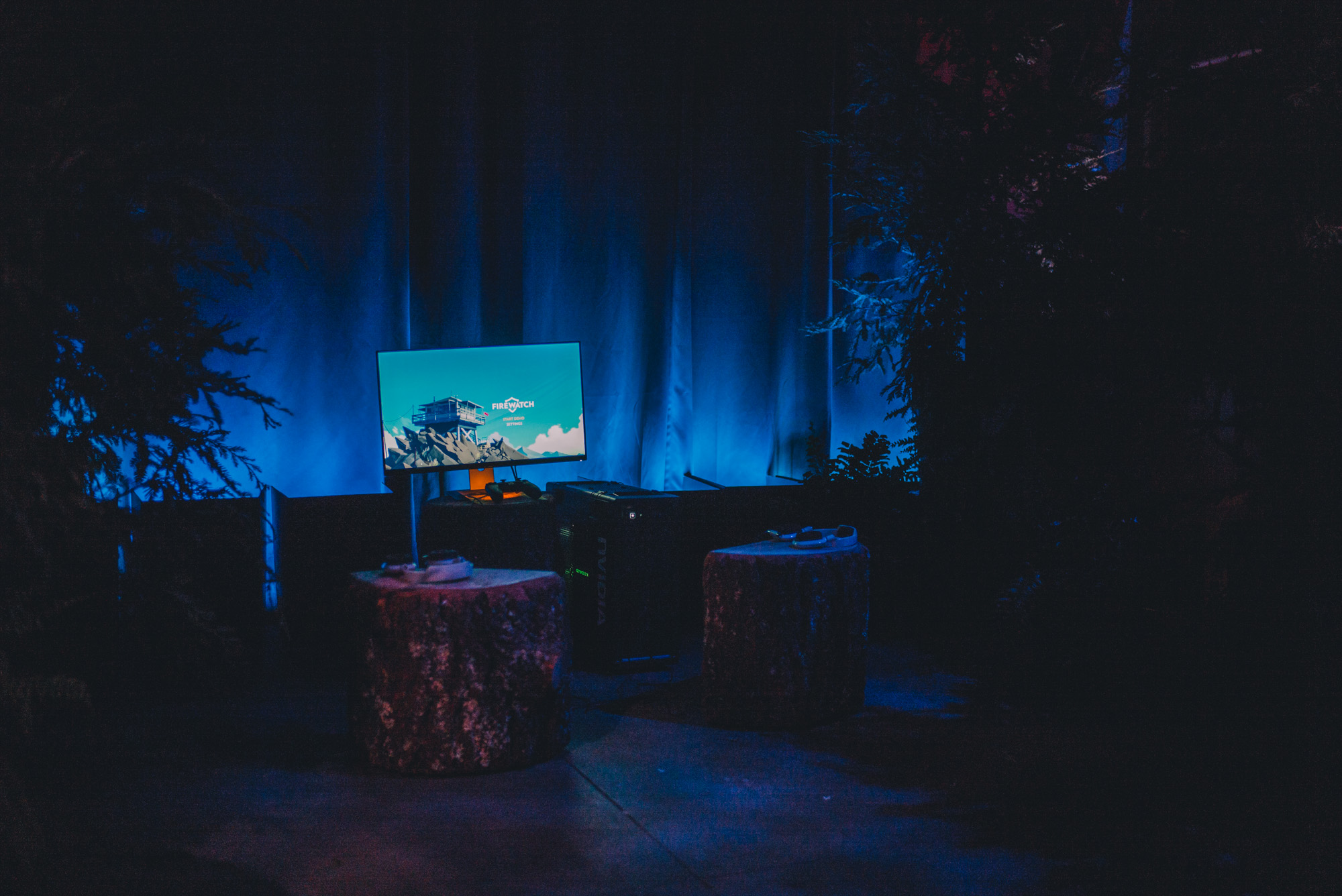Firewatch (11 of 13)
